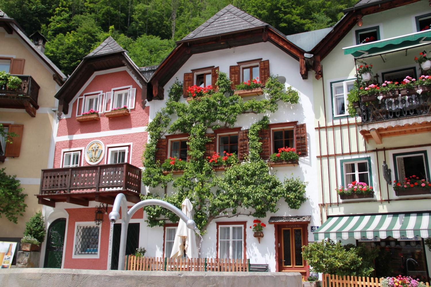 Apartments Gamsfeld Russbach am Pass Gschütt Dış mekan fotoğraf