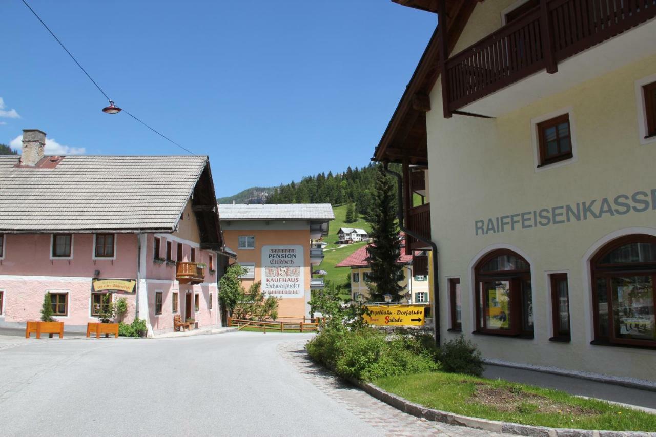 Apartments Gamsfeld Russbach am Pass Gschütt Dış mekan fotoğraf